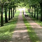 Chateau - Natural Luxury And Historic Charm Hébergement de vacances