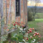 Hébergement de vacances Chateau - Natural Luxury And Historic Charm *